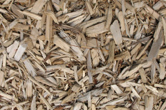 biomass boilers Bickley Moss